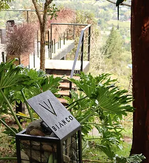 AKOA GLAMPING ECO-LUXURY HOTEL — foto 4 de 4