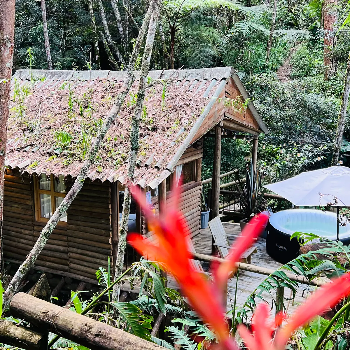GLAMPING VITAL SPA — foto 4 de 4