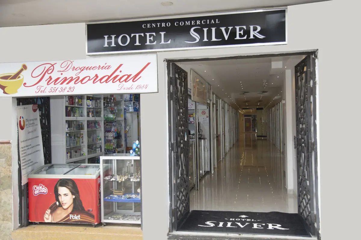 Hotel Silver Guarne