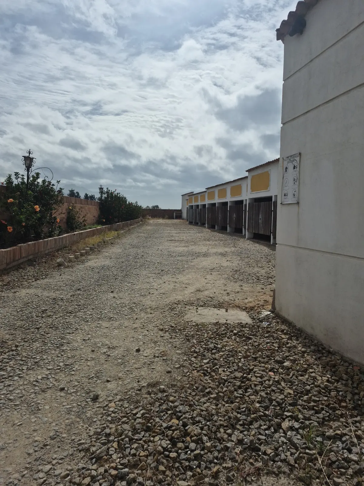 Motel colibrí