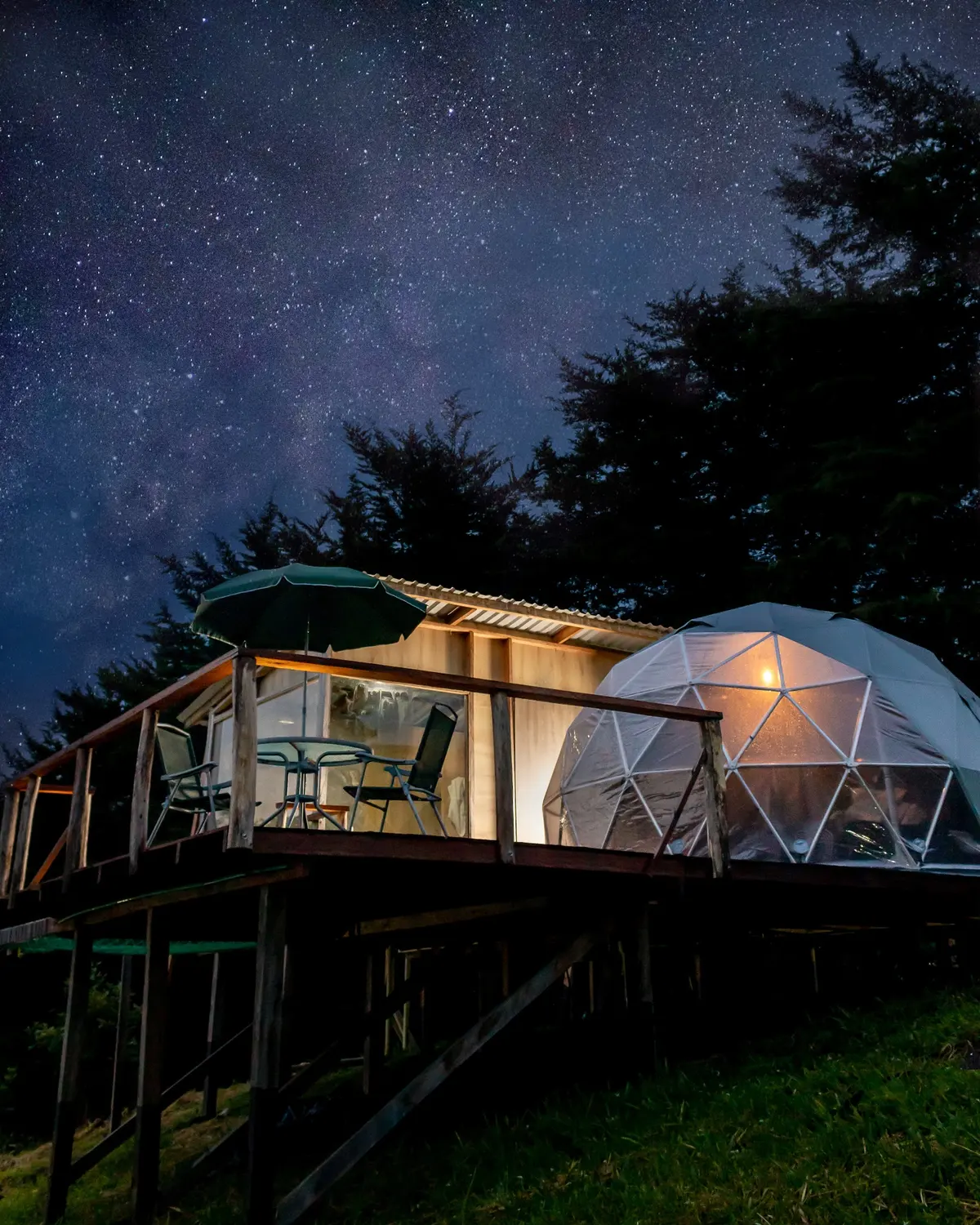 Forest Glamp Glamping
