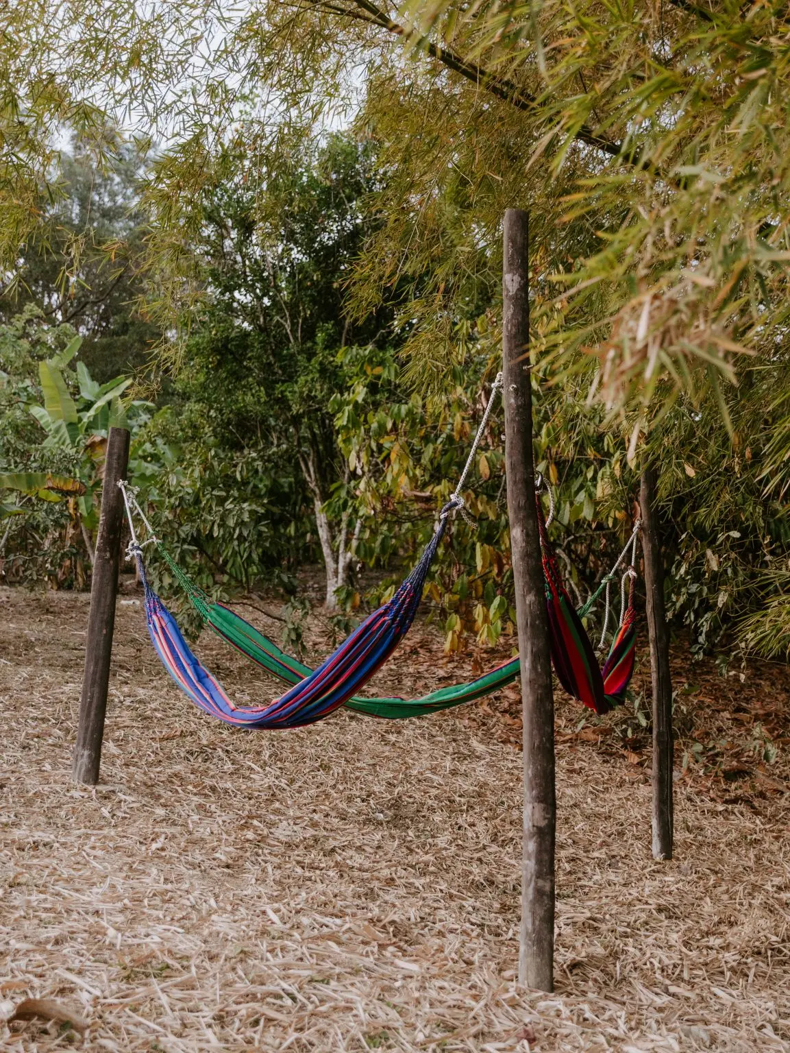 Copoazú Glamping — foto 4 de 7