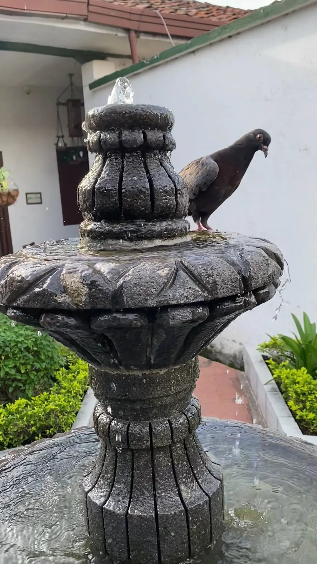 Hotel Casa Antigua — foto 6 de 7