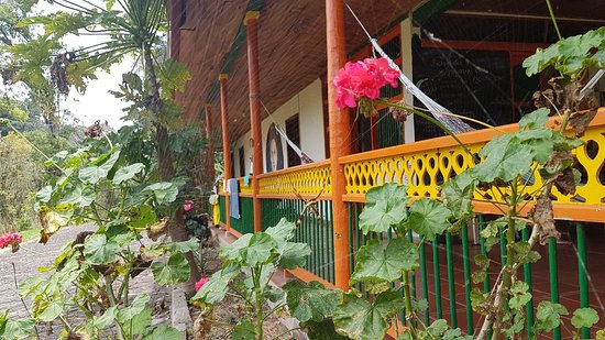 Ayawaska Hostal